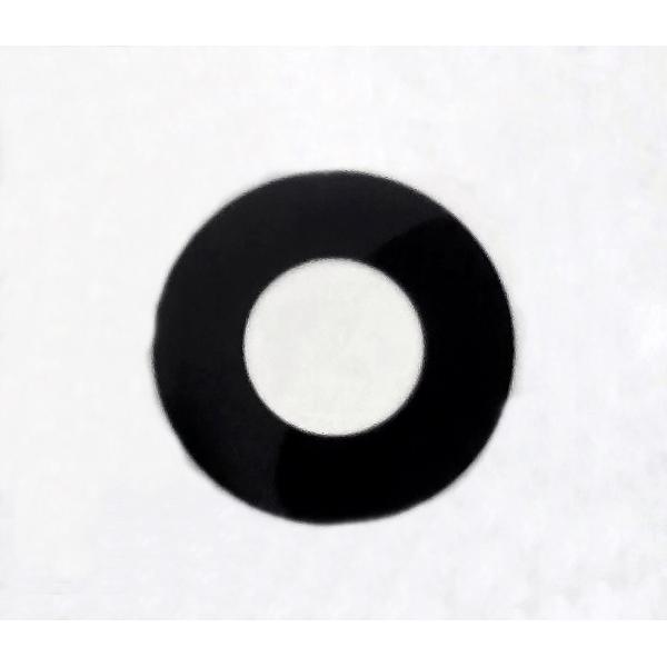Cristal de camara principal para Samsung Galaxy S25 FE S731B GH64-09951A Service Pack